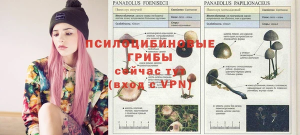 дмт Алексин