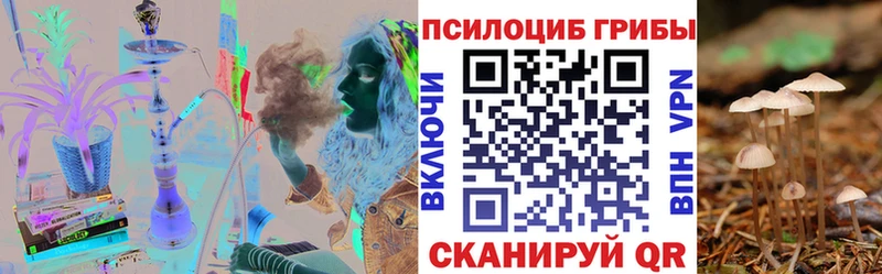 Псилоцибиновые грибы Psilocybe Ливны