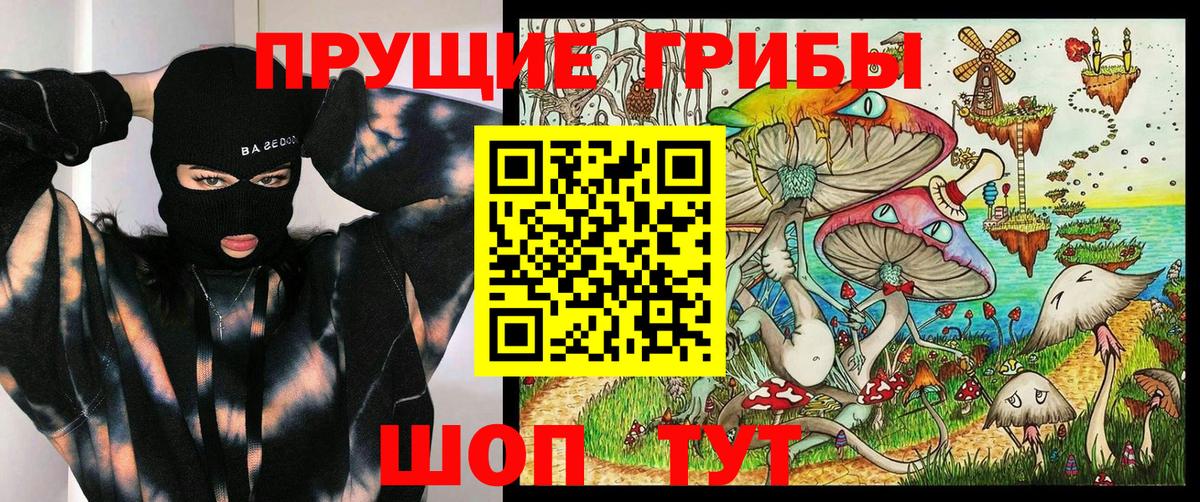 Псилоцибиновые грибы мицелий Ливны