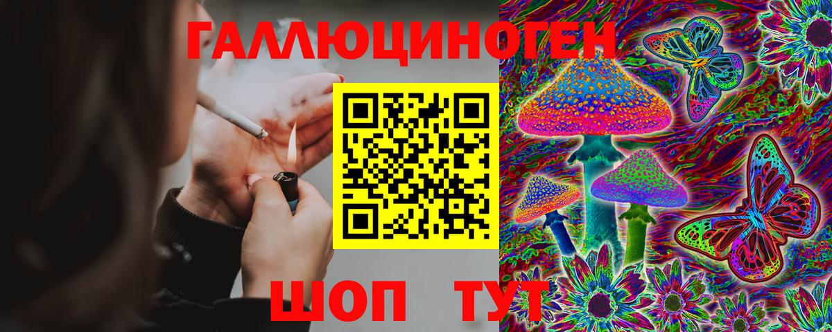 купить   Псилоцибиновые грибы Psilocybe  Вход с VPN  Ливны  Псилоцибиновые грибы Magic Shrooms 